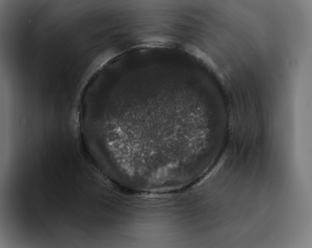 X0000094171362200711161659