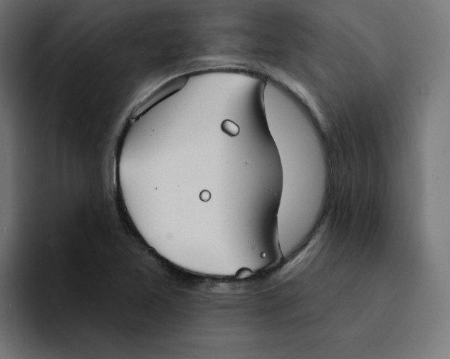 X0000094171365200711161659