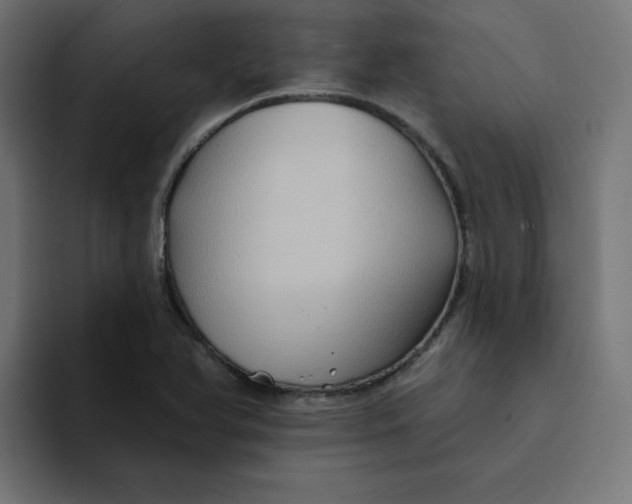 X0000094171366200711161659