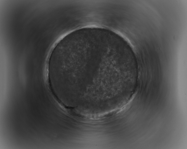 X0000094171367200711161659