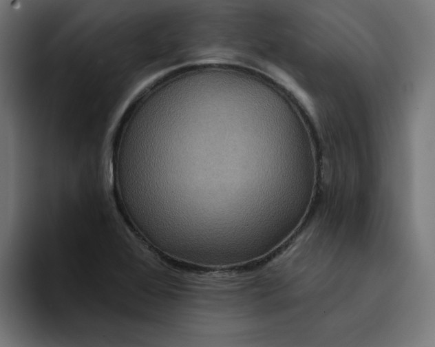 X0000094171368200711161659