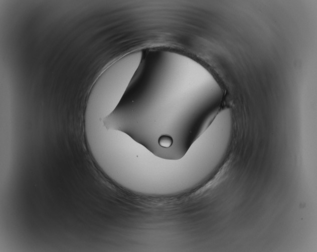 X0000094171369200711161659