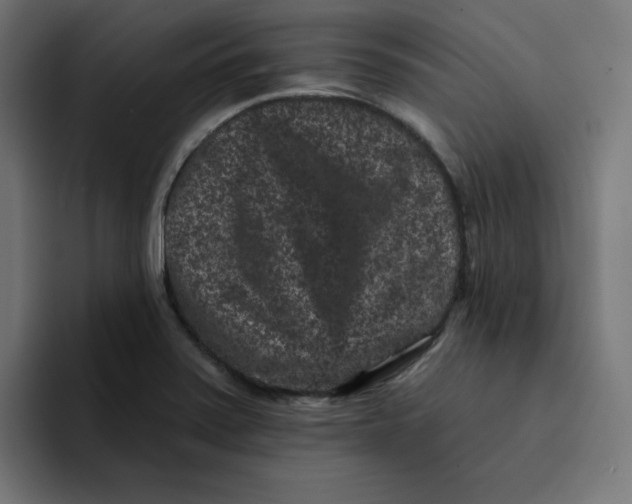 X0000094171371200711161659