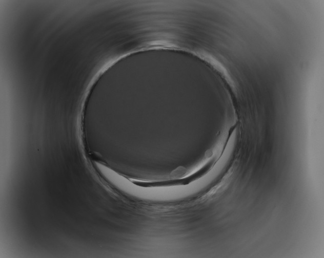 X0000094171373200711161659