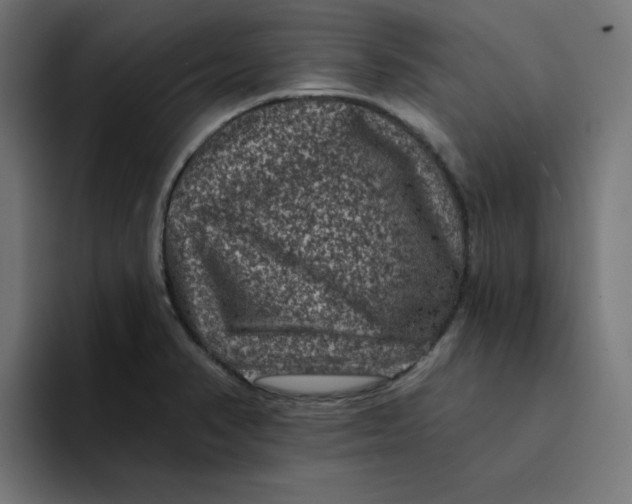 X0000094171374200711161659