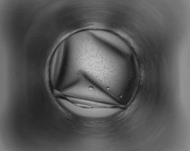 X0000094171375200711161659