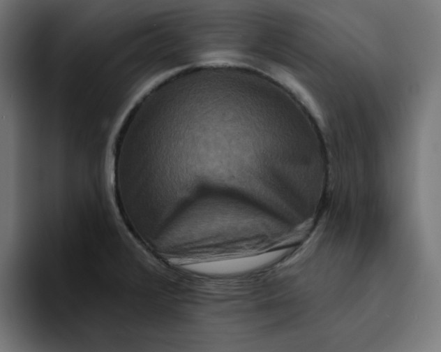 X0000094171376200711161659