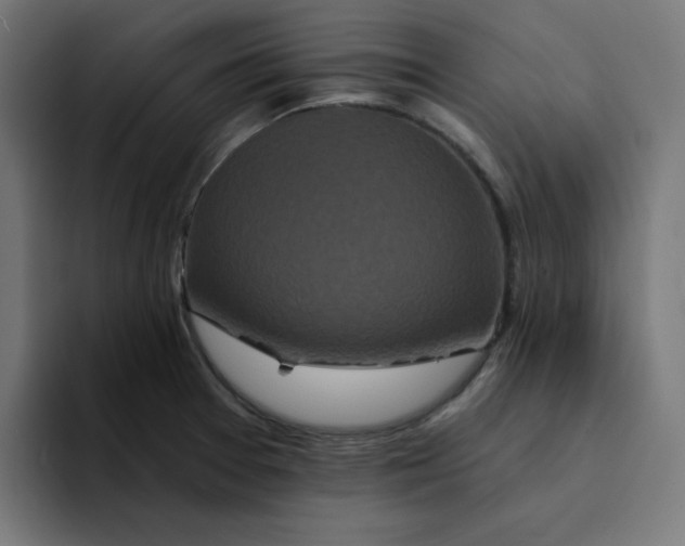 X0000094171377200711161659