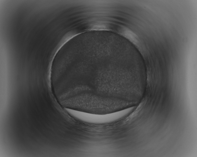 X0000094171378200711161659