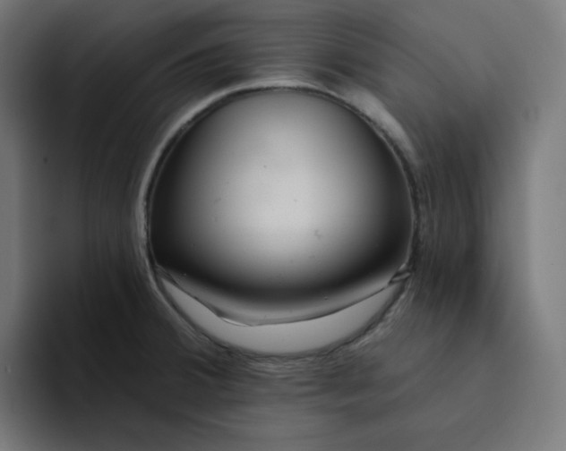 X0000094171380200711161659