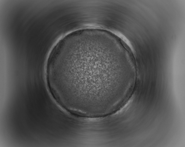 X0000094171381200711161659