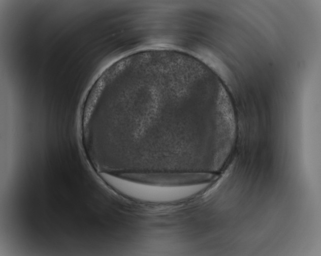 X0000094171382200711161659