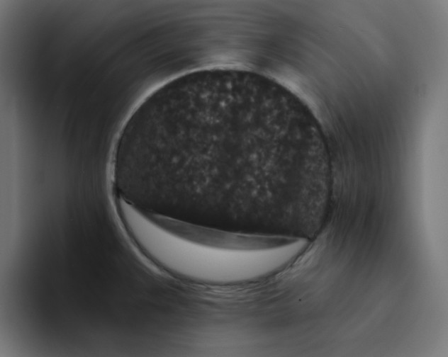 X0000094171383200711161659