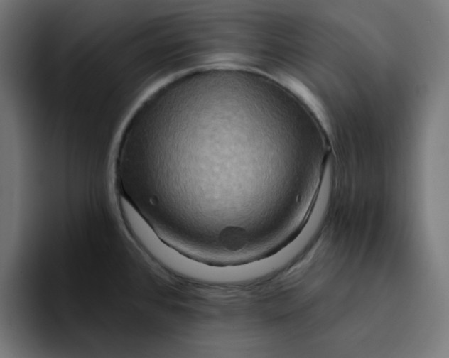 X0000094171384200711161659