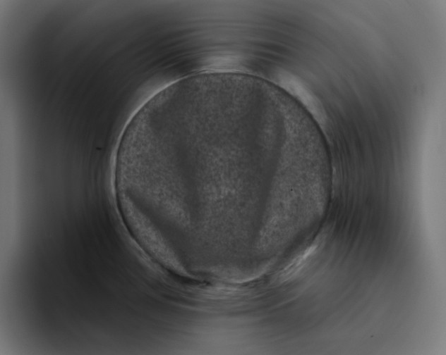 X0000094171386200711161659