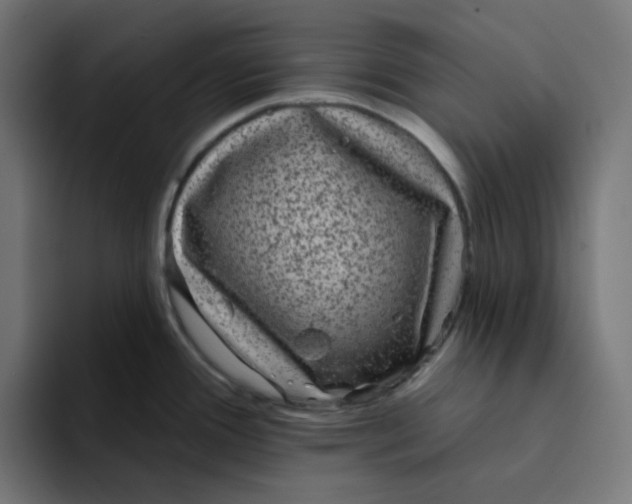 X0000094171388200711161659