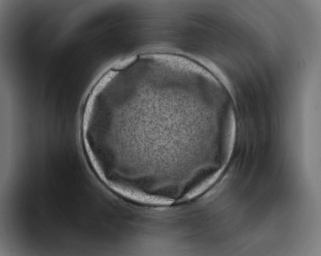 X0000094171390200711161659