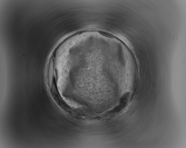 X0000094171392200711161659