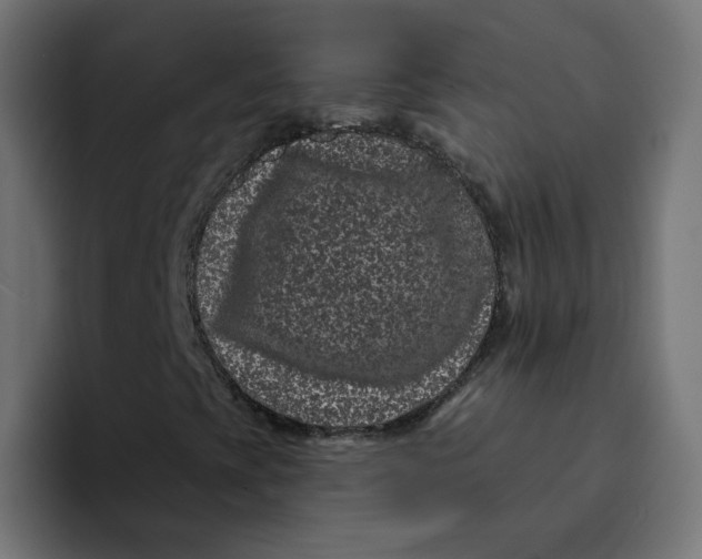 X0000094171393200711161658