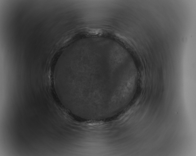 X0000094171394200711161658