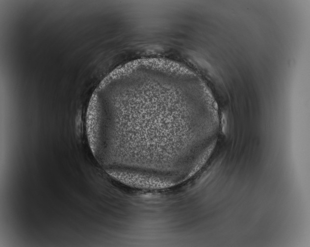 X0000094171395200711161658