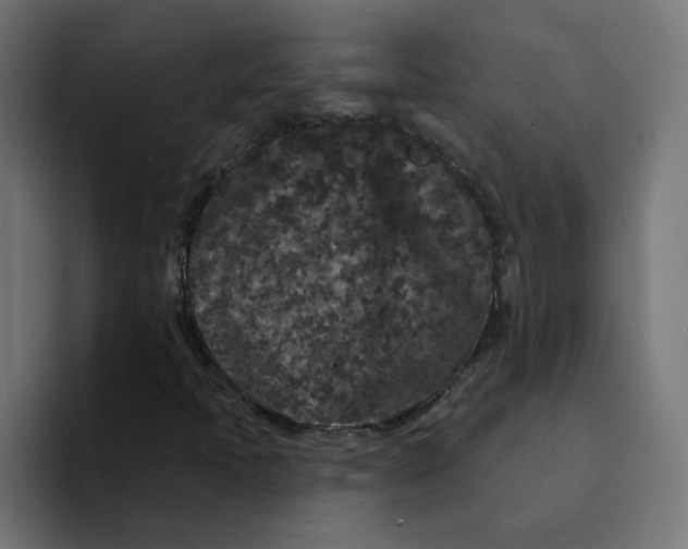 X0000094171397200711161658