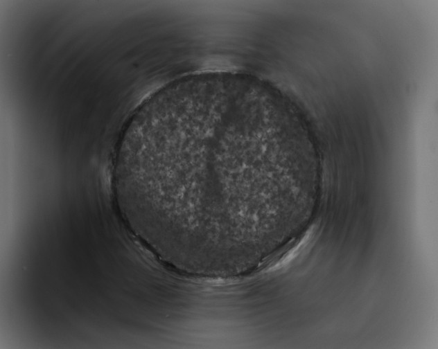 X0000094171401200711161658