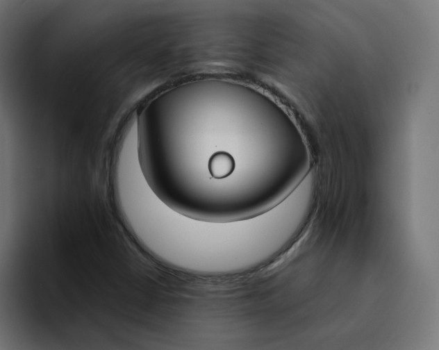 X0000094171402200711161658