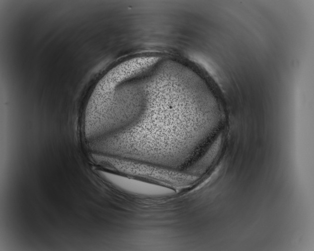 X0000094171403200711161658