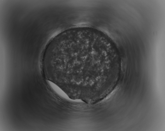 X0000094171405200711161658