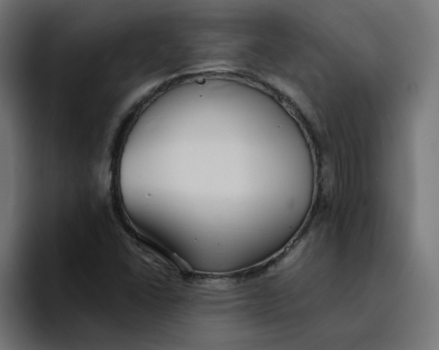 X0000094171406200711161658