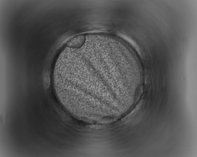 X0000094171407200711161658