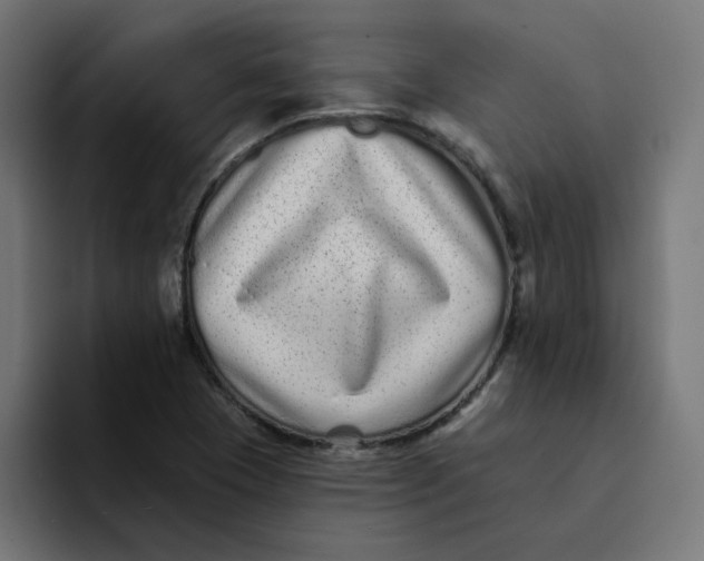 X0000094171409200711161658