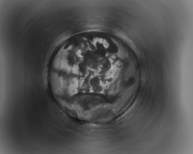 X0000094171411200711161658