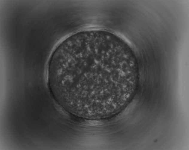 X0000094171413200711161658