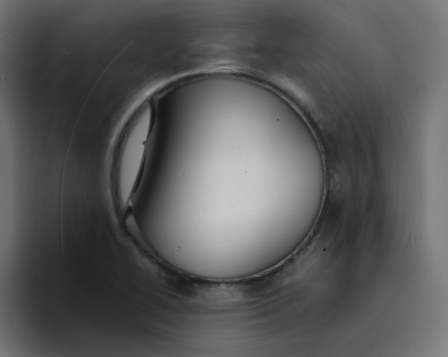 X0000094171414200711161659