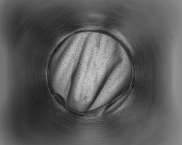 X0000094171417200711161659