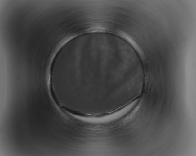 X0000094171418200711161659