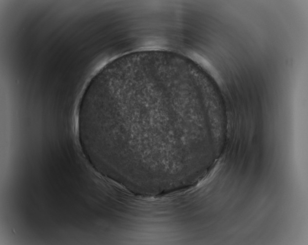 X0000094171419200711161659