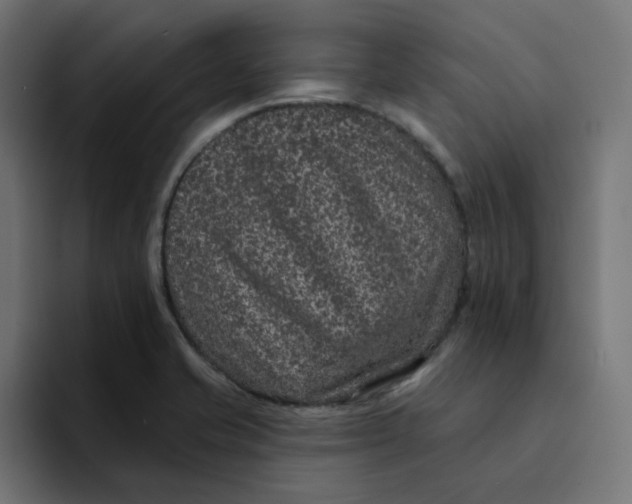 X0000094171421200711161659