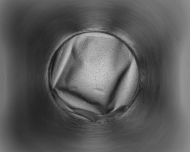 X0000094171423200711161659