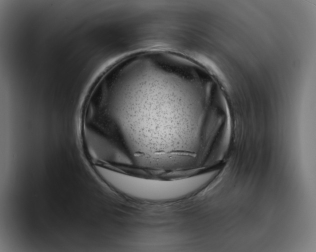 X0000094171424200711161659