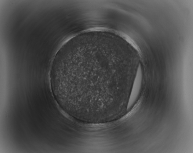 X0000094171425200711161659