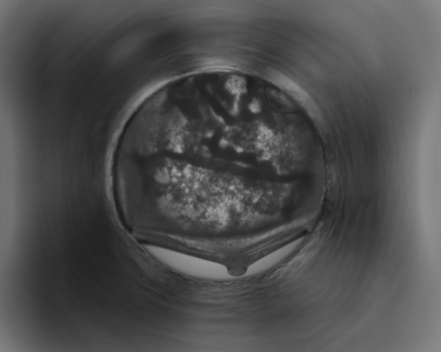 X0000094171427200711161659