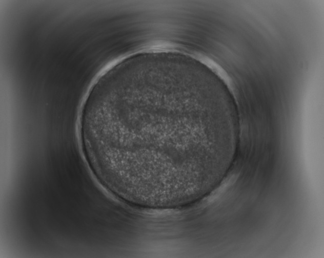 X0000094171429200711161659