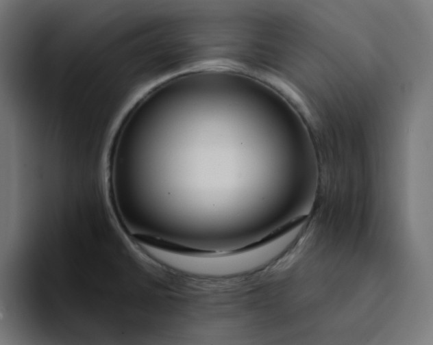 X0000094171430200711161659