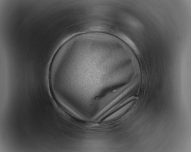 X0000094171439200711161659