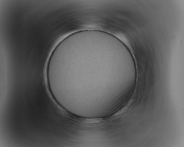 X0000094171440200711161659