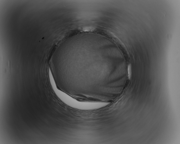 X0000094171443200711161658