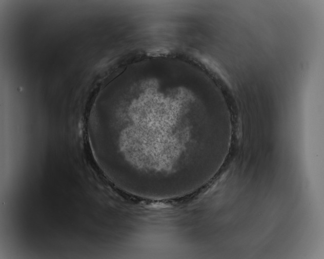 X0000094171445200711161658